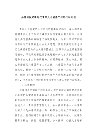 共青团做好新时代青年人才培养工作的行动计划