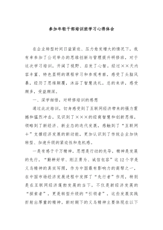 参加年轻干部培训班学习心得体会