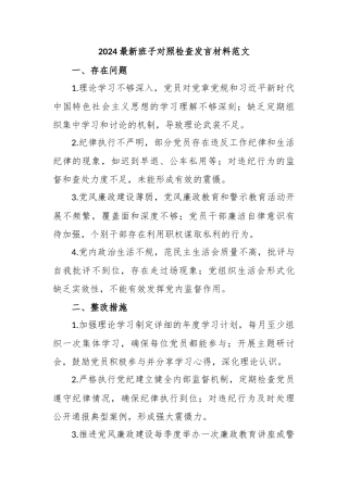 2024最新班子对照检查发言材料范文