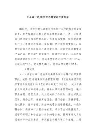 X县审计局2023年内部审计工作总结