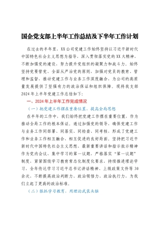 国企党支部上半年工作总结及下半年工作计划 (4)