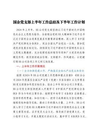 国企党支部上半年工作总结及下半年工作计划 (2)