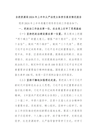 自然资源局2024年上半年从严治党主体责任落实情况报告