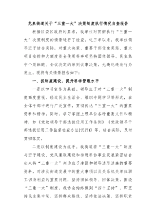 2024街道关于“三重一大”决策制度执行情况自查报告