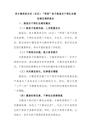 某乡镇党政及村（社区）“两委”班子换届后干部队伍建设情况调研报告