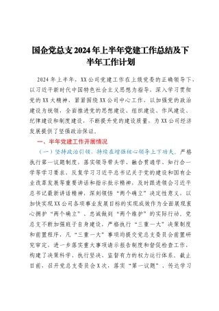 国企党总支2024年上半年党建工作总结及下半年工作计划