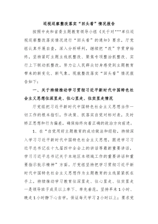 巡视巡察整改落实“回头看”情况报告