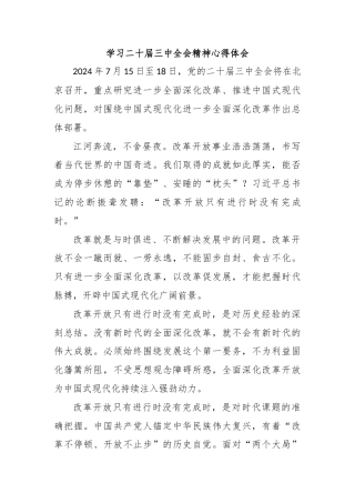 学习二十届三中全会精神心得体会