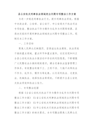 县公安机关刑事执法领域突出问题专项整治工作方案