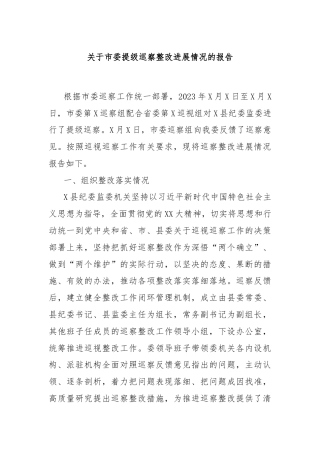 关于市委提级巡察整改进展情况的报告