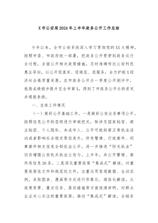X市公安局2024年上半年政务公开工作总结