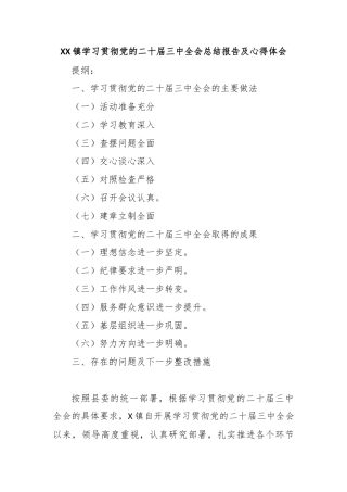 XX镇学习贯彻党的二十届三中全会总结报告及心得体会