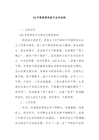 XX市常委领导班子自评材料