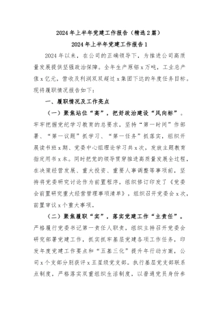 (2篇)2024年上半年党建工作报告（精选）