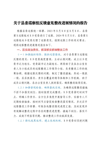 关于县委巡察组反馈意见整改进展情况的报告