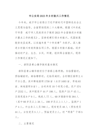 市公安局2023年乡村振兴工作情况