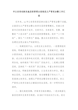 市公安局创新实施层级管理全面规范从严管党治警工作汇报
