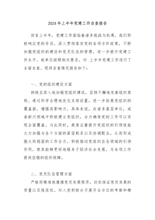 2024年上半年党建工作自查报告