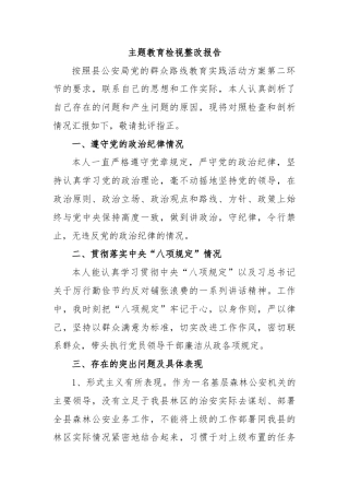 主题教育检视整改报告