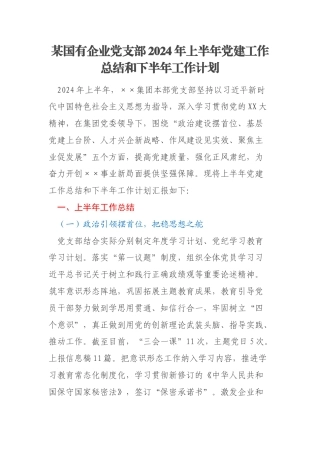 某国有企业党支部2024年上半年党建工作总结和下半年工作计划