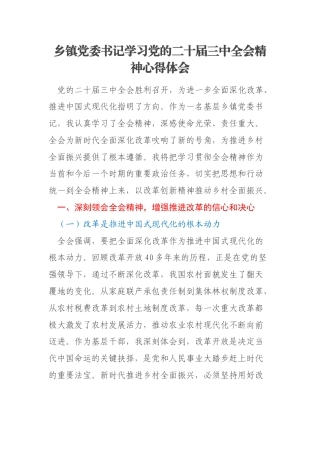 乡镇党委书记学习党的二十届三中全会精神心得体会