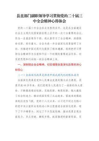 县直部门副职领导学习贯彻党的二十届三中全会精神心得体会