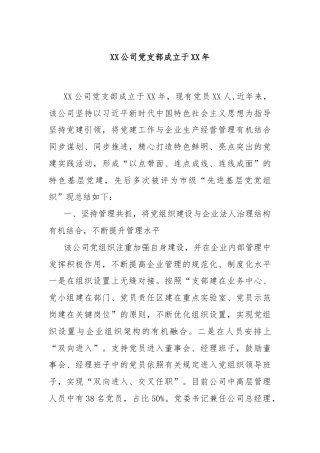 XX公司党支部成立于XX年