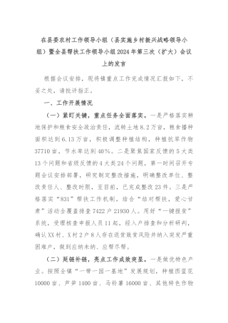 在县委农村工作领导小组（县实施乡村振兴战略领导小组）暨全县帮扶工作领导小组2024年第三次（扩大）会议上的发言