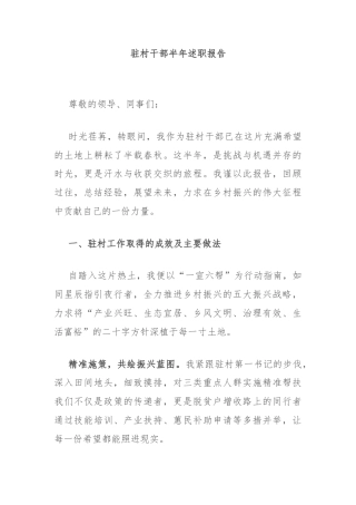 驻村干部半年述职报告