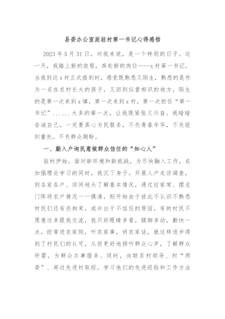 县委办公室派驻村第一书记心得感悟