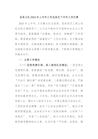 县某大队2024年上半年工作总结及下半年工作打算