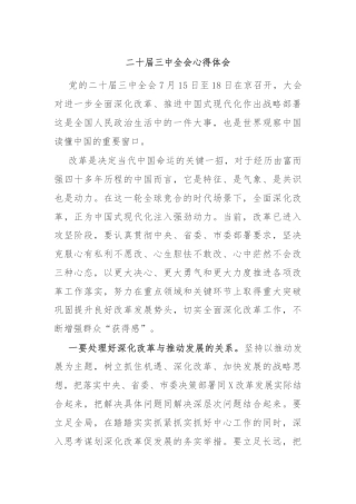 二十届三中全会心得体会