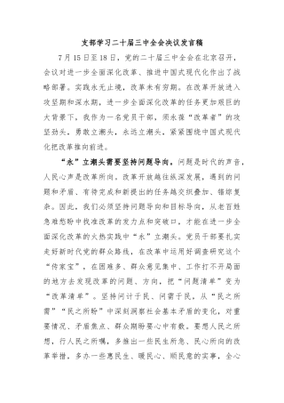 支部学习二十届三中全会决议发言稿