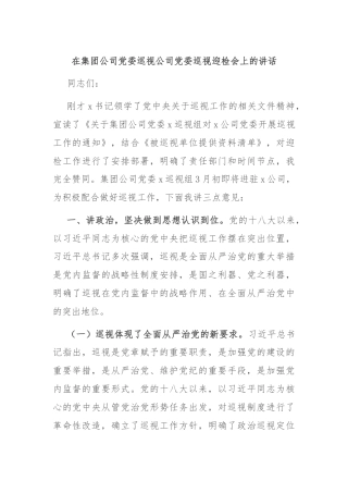 在集团公司党委巡视公司党委巡视迎检会上的讲话