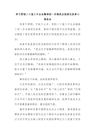学习贯彻二十届三中全会精神进一步推进全面深化改革心得体会