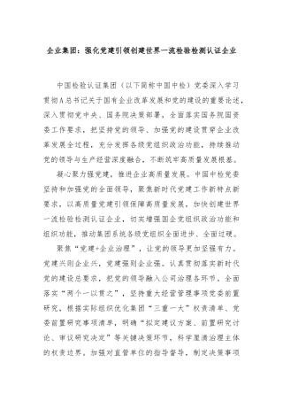 企业集团：强化党建引领创建世界一流检验检测认证企业