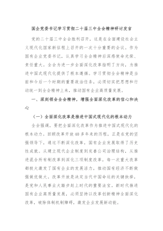 国企党委书记学习贯彻二十届三中全会精神研讨发言