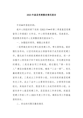 2023年基层党建整改情况报告