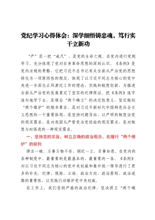 党纪学习心得体会：深学细悟铸忠魂，笃行实干立新功