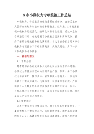 X市小微权力专项整治工作总结