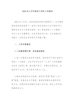 2024年上半年驻村工作队工作报告