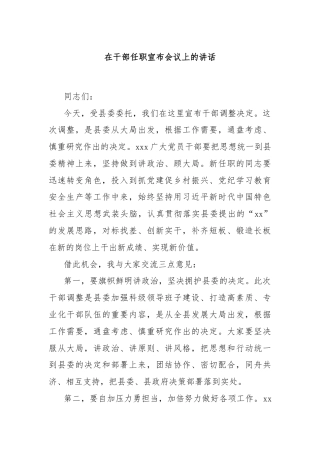 在干部任职宣布会议上的讲话