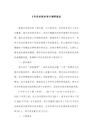 X市农村财务审计调研报告
