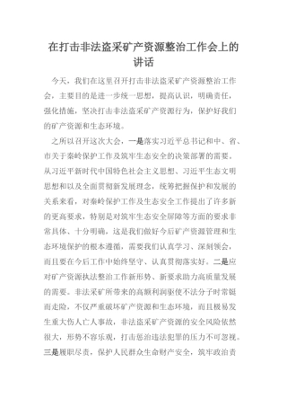 在打击非法盗采矿产资源整治工作会上的讲话