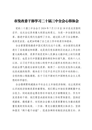 市发改委干部学习二十届三中全会心得体会