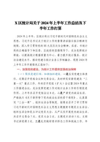 X区统计局关于2024年上半年工作总结及下半年工作打算