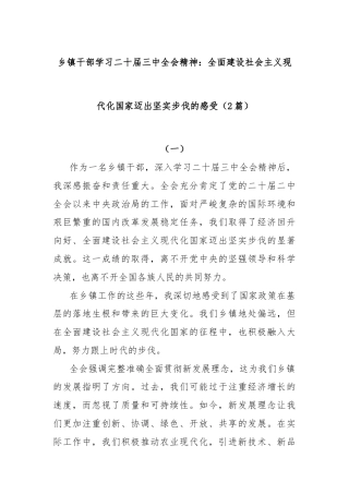 (2篇)乡镇干部学习二十届三中全会精神：全面建设社会主义现代化国家迈出坚实步伐的感受