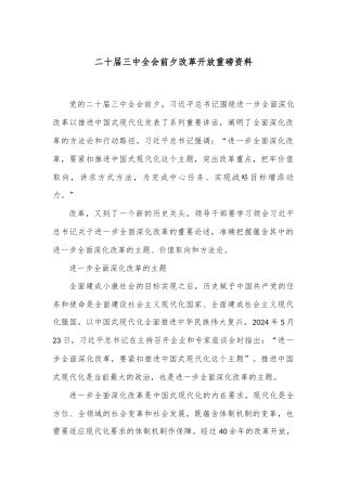 二十届三中全会前夕改革开放重磅资料