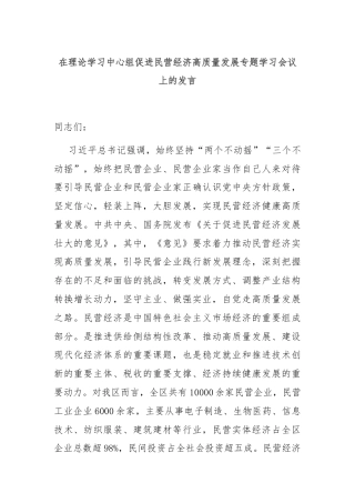 在理论学习中心组促进民营经济高质量发展专题学习会议上的发言