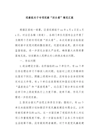 巡察组关于专项巡察“回头看”情况汇报